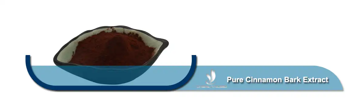 Pure Cinnamon Bark Extract powder.jpg